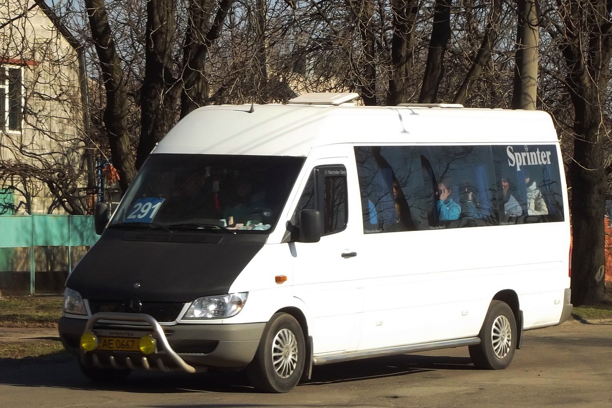 Днепропетровская область, Mercedes-Benz Sprinter W903 313CDI № AE 0667 AB