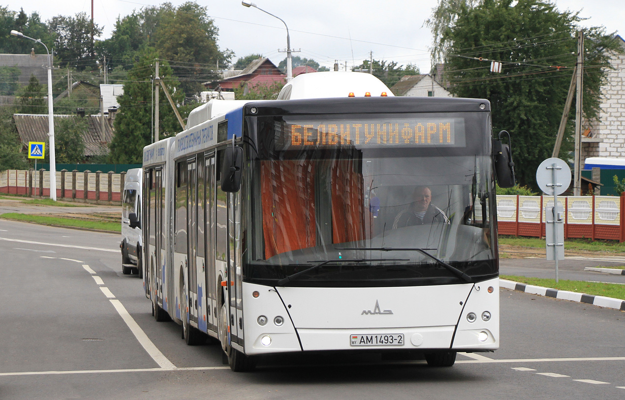 Віцебская вобласць, МАЗ-215.069 № АМ 1493-2