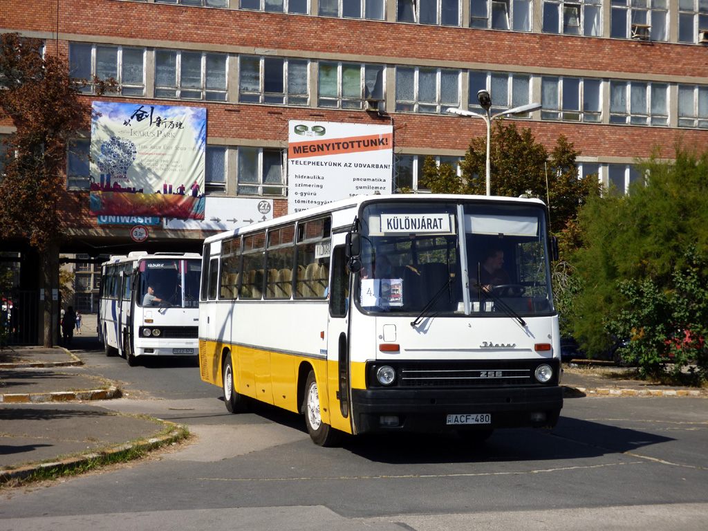 Венгрия, Ikarus 256.54 № ACF-480; Венгрия — 14. Ikarus Nap, Budapest Mátyásföld (2020)