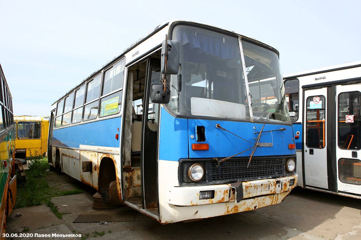 Архангельская область, Ikarus 260.51F № АС 113 29