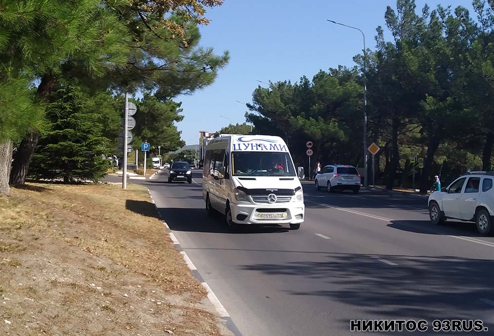 Ставропольский край, Луидор-22360C (MB Sprinter) № С 515 ОВ 53