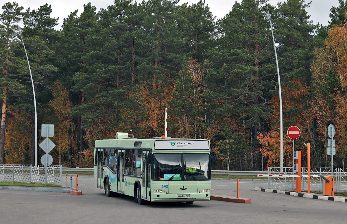 Красноярский край, МАЗ-103.476 № 3004