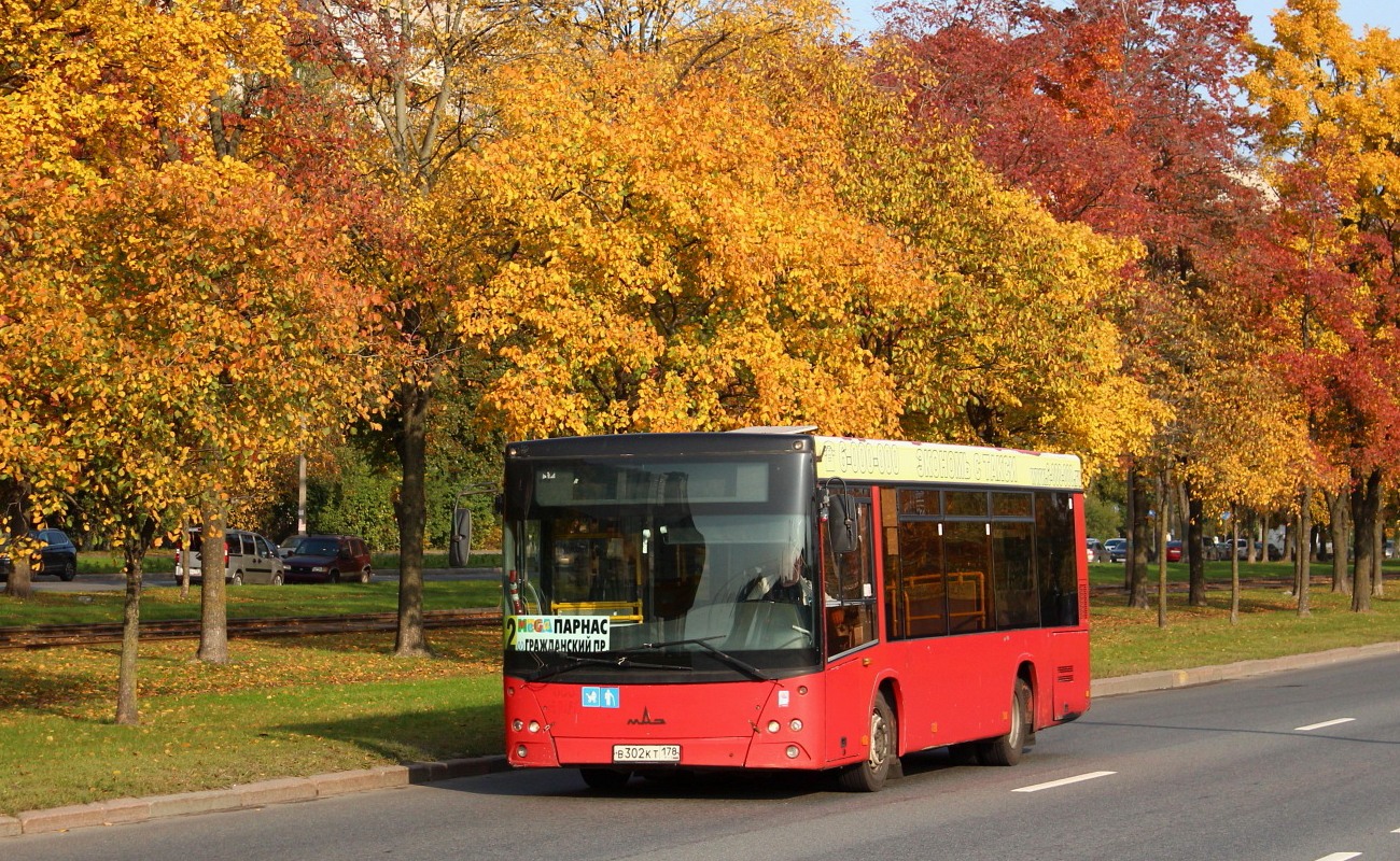 Санкт-Петербург, МАЗ-206.067 № В 302 КТ 178