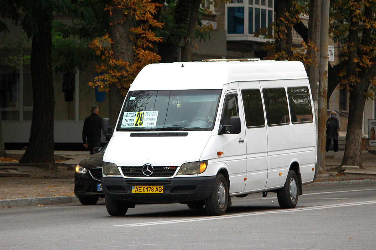 Днепропетровская область, Mercedes-Benz Sprinter W903 313CDI № AE 0178 AB