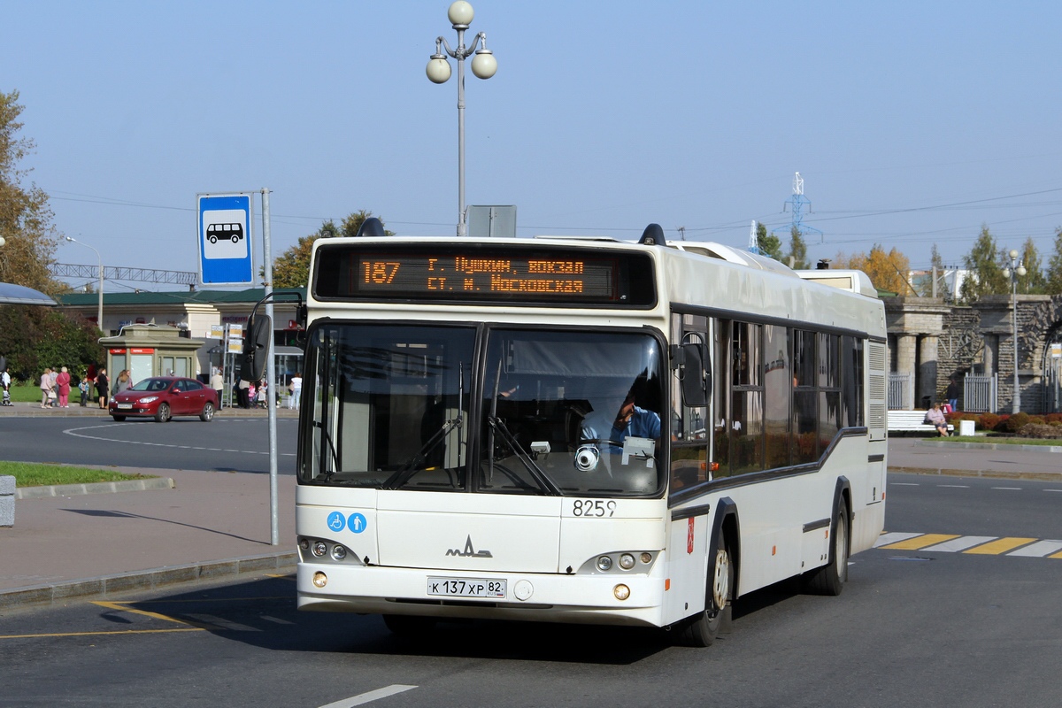 Санкт-Петербург, МАЗ-103.486 № 8259