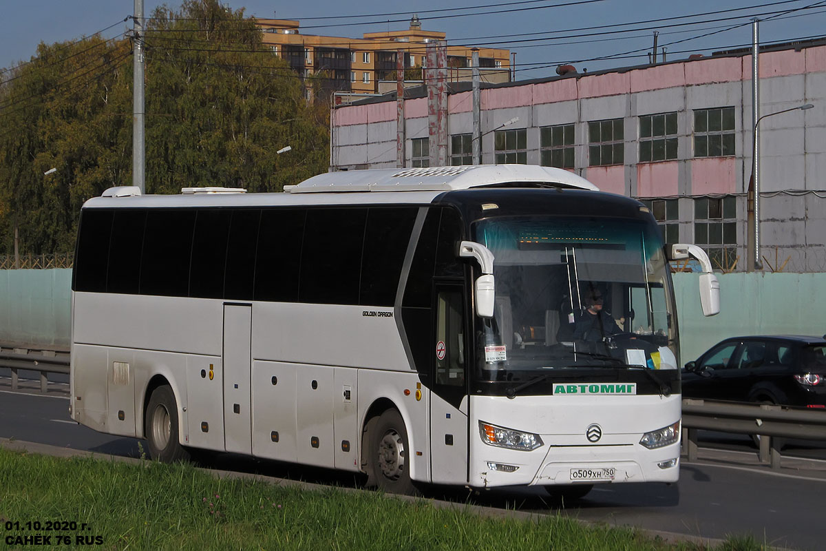 Ярославская область, Golden Dragon XML6126JR № 91