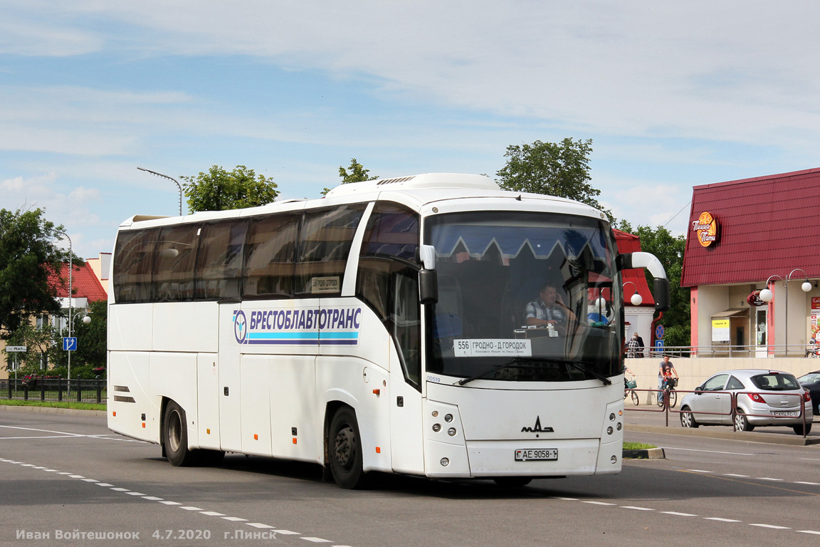 Брестская область, МАЗ-251.050 № 00519