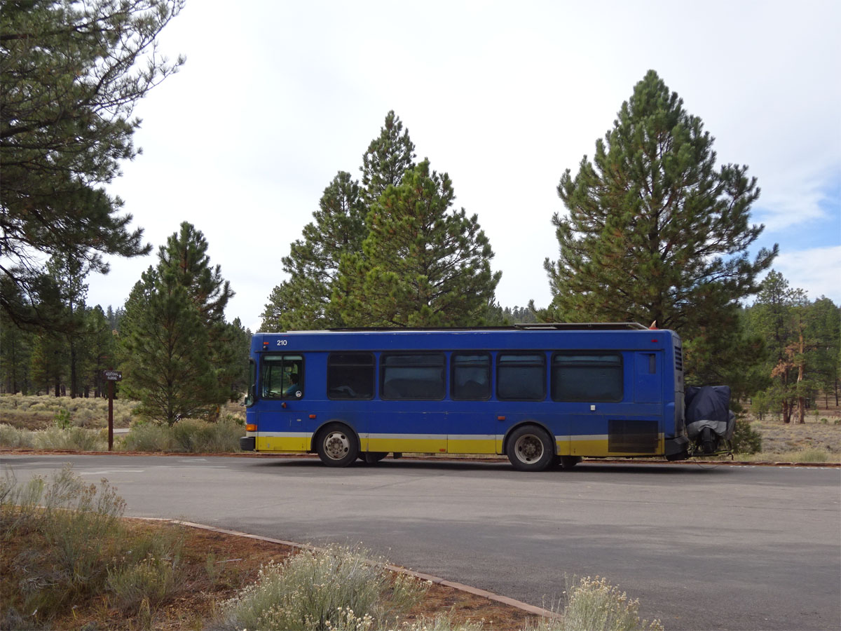 США, Gillig Low Floor 29' № 210