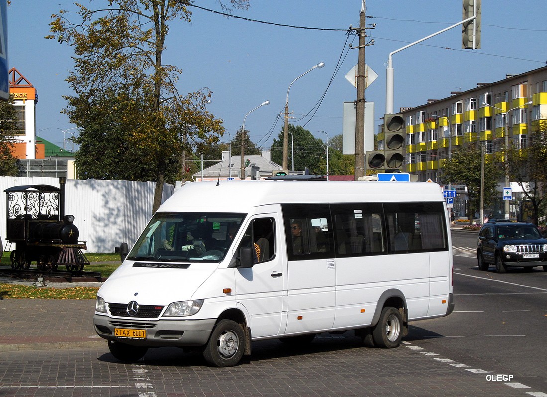 Витебская область, Луидор-2232* (MB Sprinter Classic) № 2 ТАХ 6001