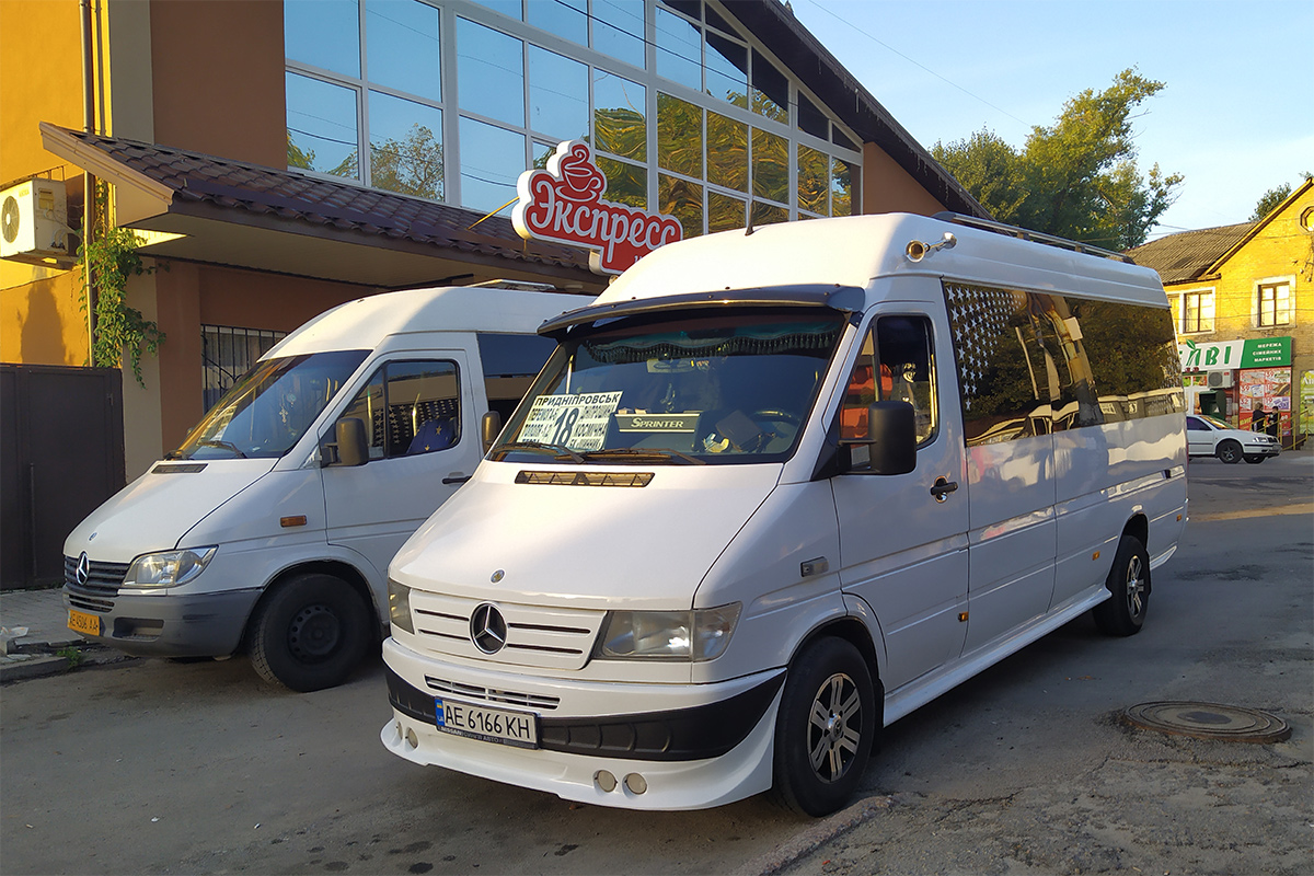 Днепропетровская область, Mercedes-Benz Sprinter W903 310D № AE 6166 KH