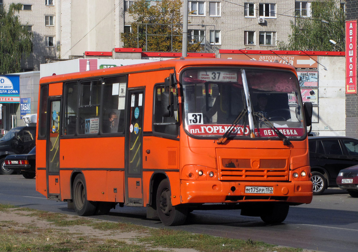 Нижегородская область, ПАЗ-320402-05 № М 175 РР 152