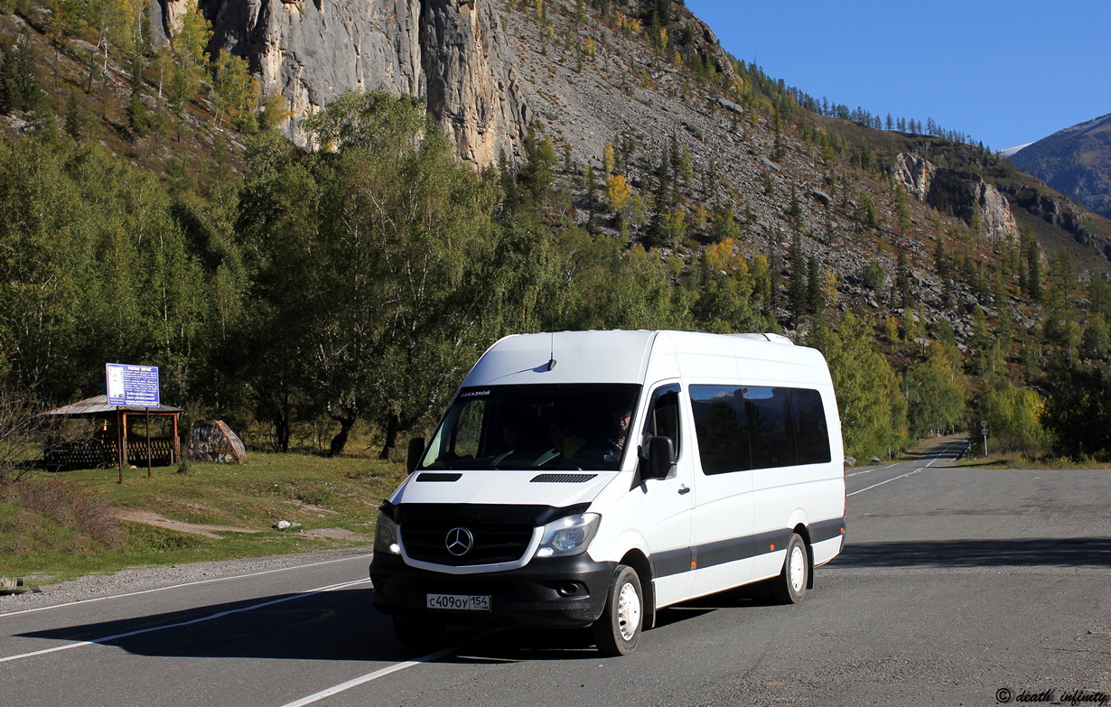 Алтайский край, Луидор-22360C (MB Sprinter) № С 409 ОУ 154