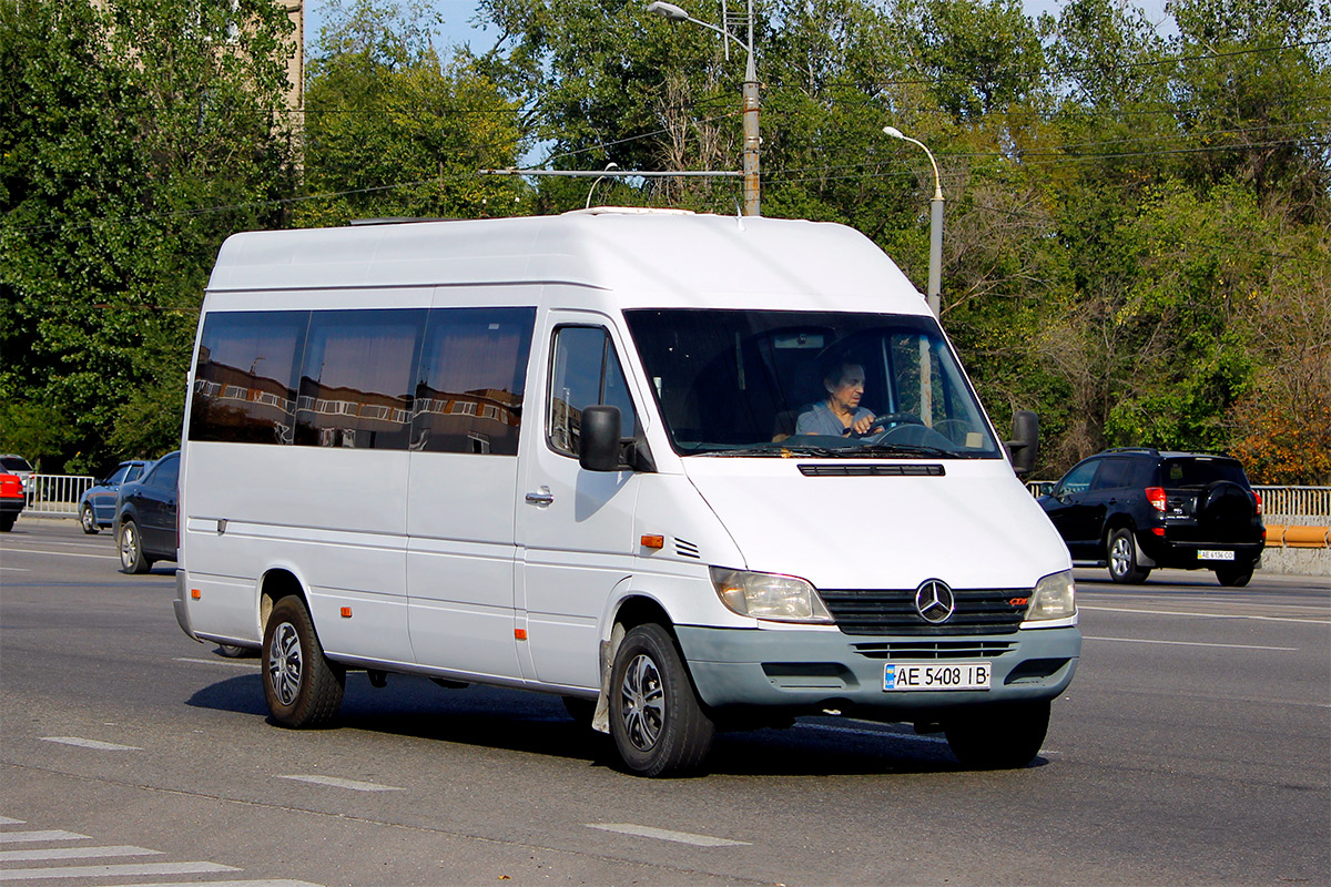 Днепропетровская область, Mercedes-Benz Sprinter W903 313CDI № AE 5408 IB