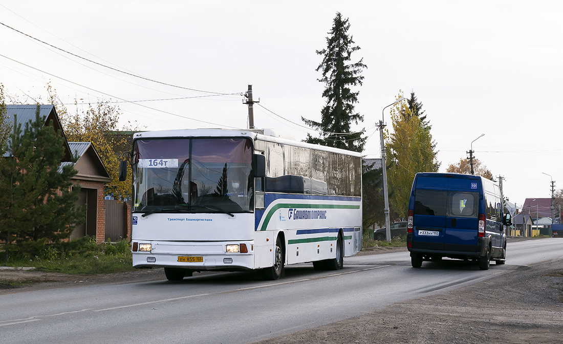 Башкортостан, VDL-НефАЗ-52996 Lexio № 1258; Башкортостан, IRITO Boxer L4H2 (Z8P) № Р 333 НУ 102