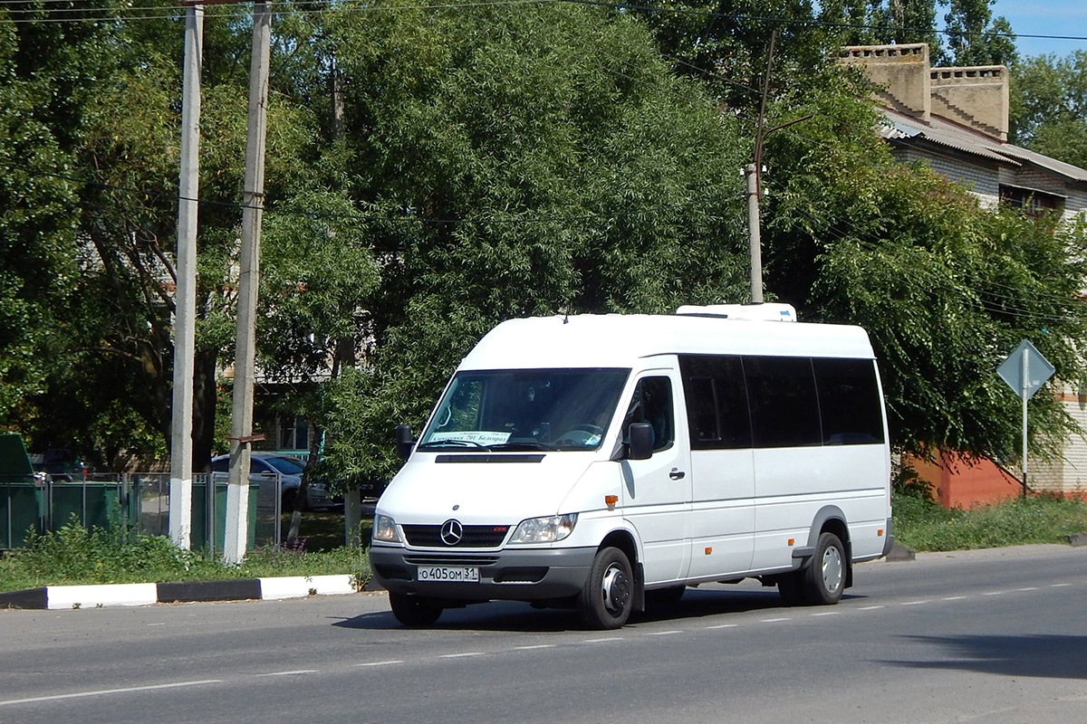 Белгородская область, Луидор-223201 (MB Sprinter Classic) № О 405 ОМ 31