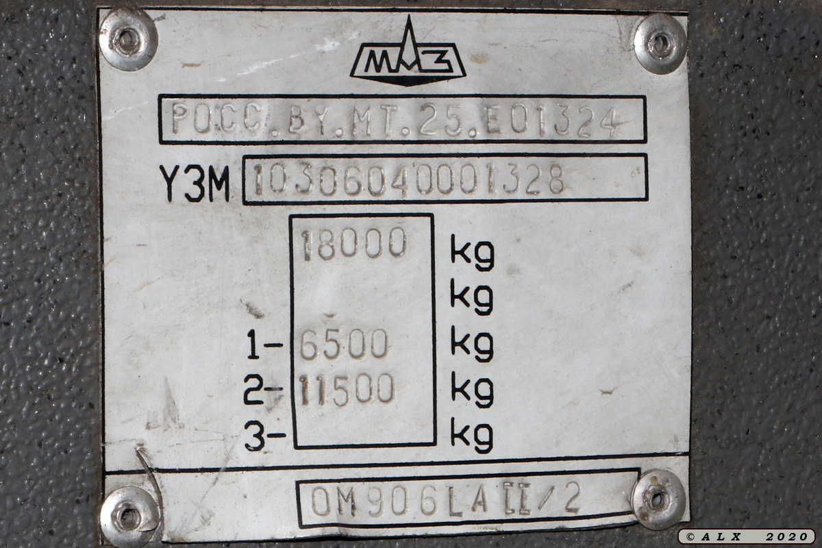 Воронежская область, МАЗ-103.060 № С 241 ВТ 136