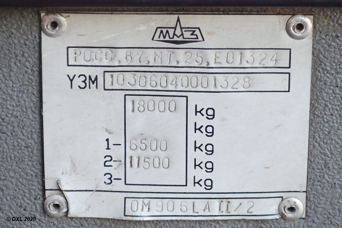 Воронежская область, МАЗ-103.060 № С 241 ВТ 136