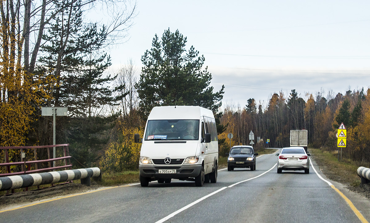 Томская область, Луидор-223201 (MB Sprinter Classic) № Е 705 ЕР 70