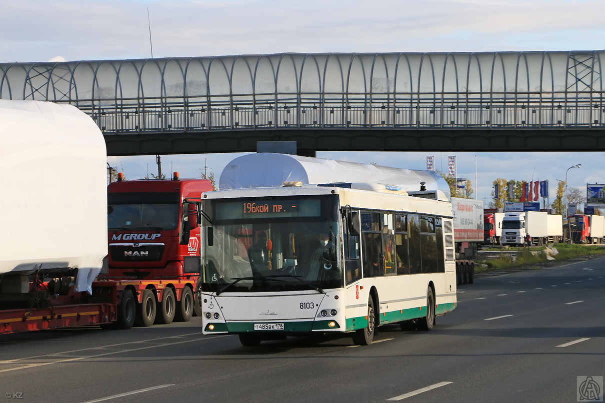 Санкт-Петербург, МАЗ-203.085 № 8103