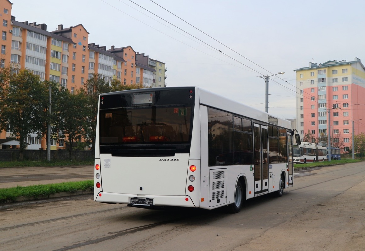 Ивано-Франковская область — Автобусы без номеров