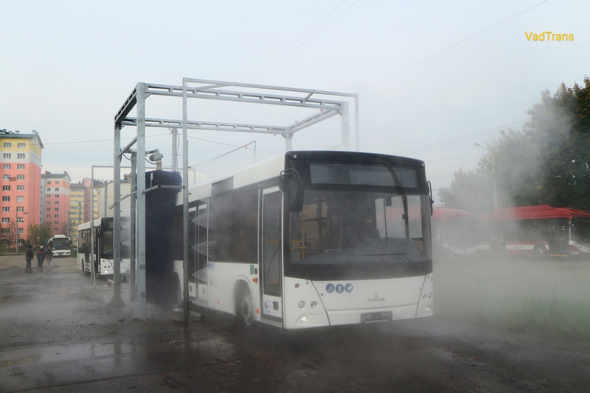 Ивано-Франковская область — Автобусы без номеров