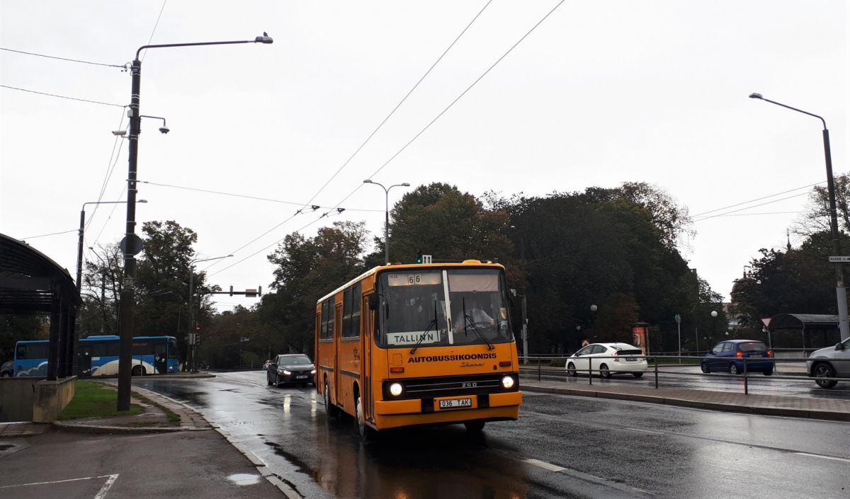 Эстония, Ikarus 260.37 № 1036