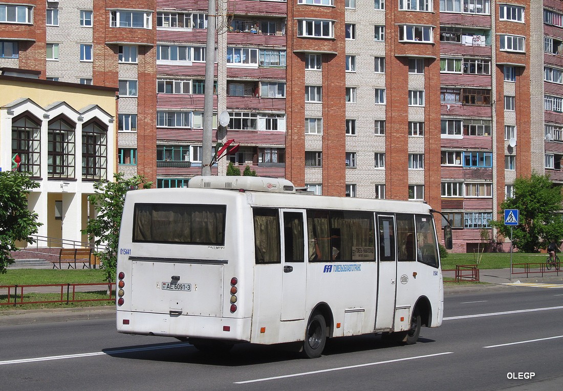 Гомельская область, ГАРЗ А09212 "Радимич" № 015441