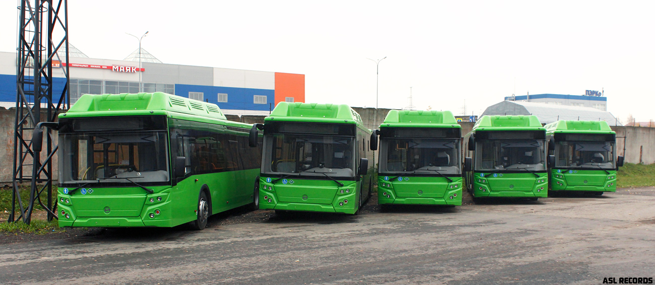 Pszkovi terület — Buses without numbers