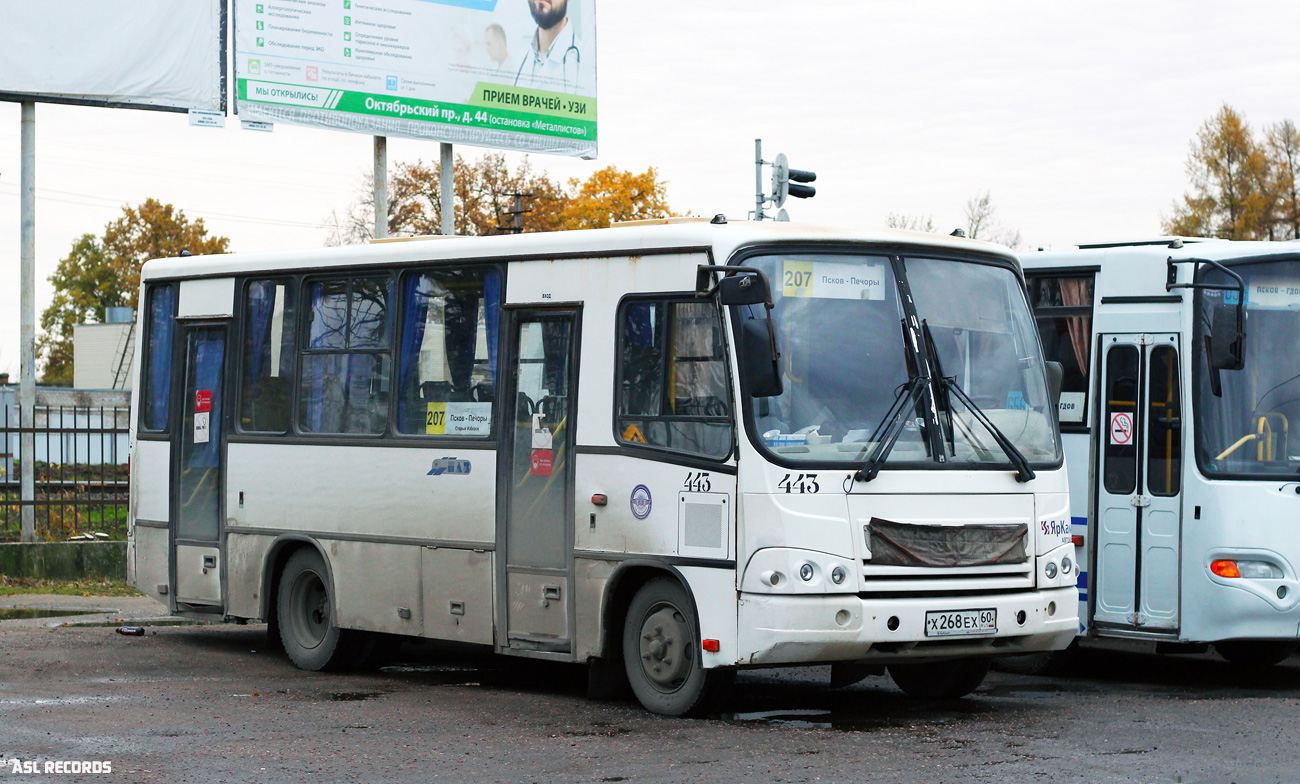 Псковская область, ПАЗ-320402-05 № 443