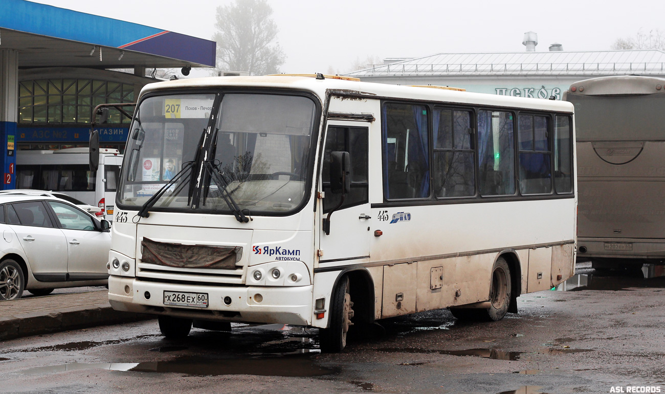 Псковская область, ПАЗ-320402-05 № 443