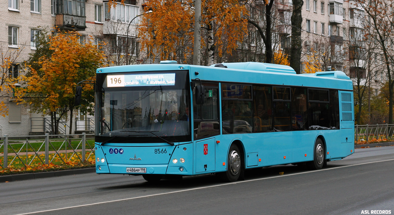 Санкт-Петербург, МАЗ-203.016 № 8566