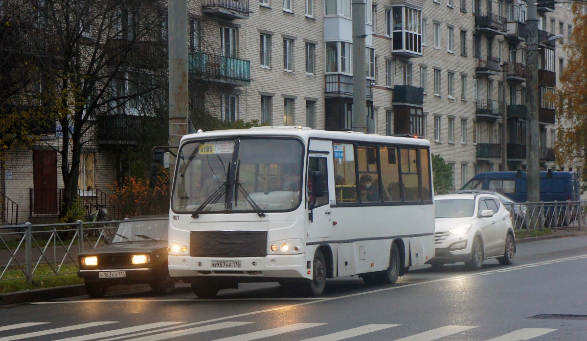 Санкт-Петербург, ПАЗ-320402-05 № 7877