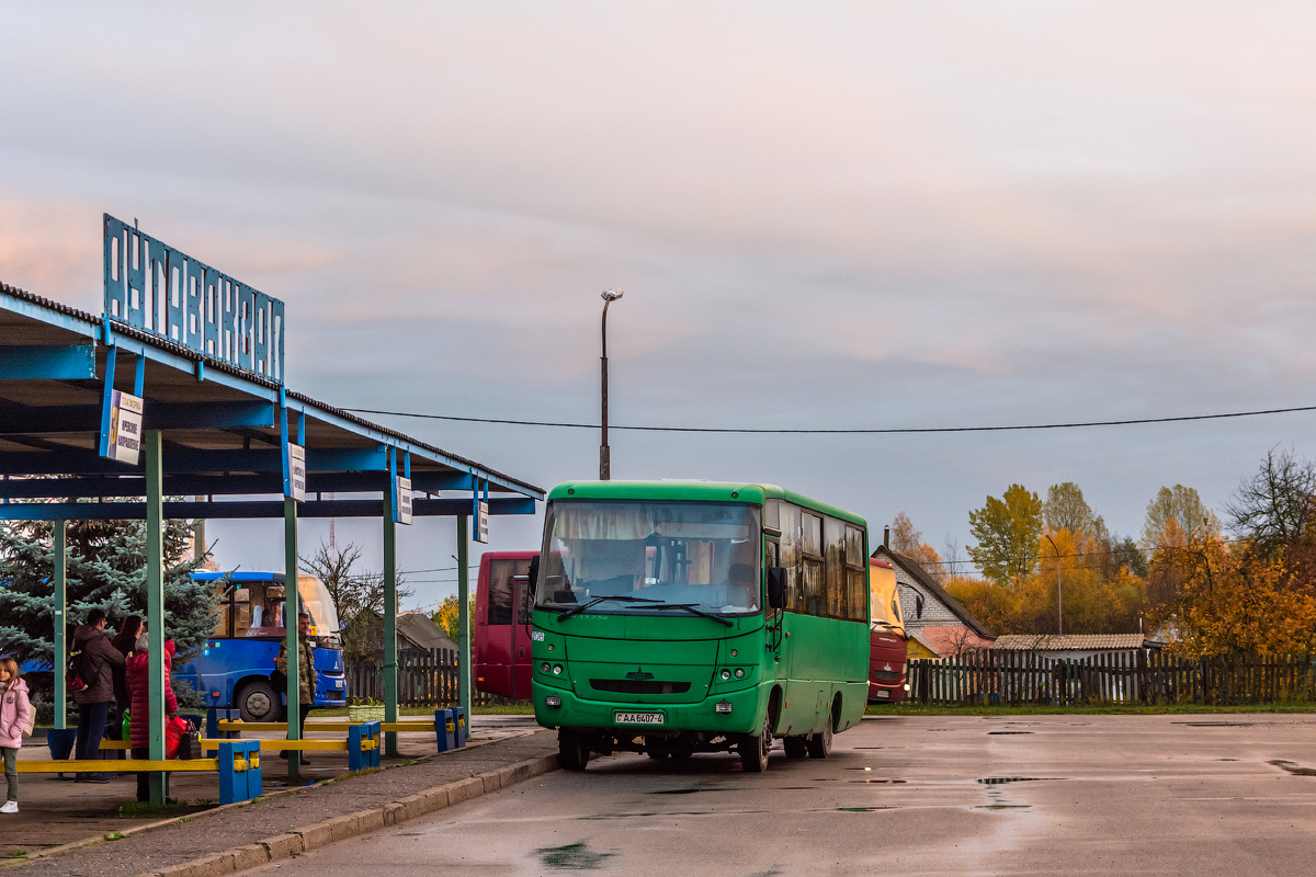 Гродненская область, МАЗ-256.270 № 31208