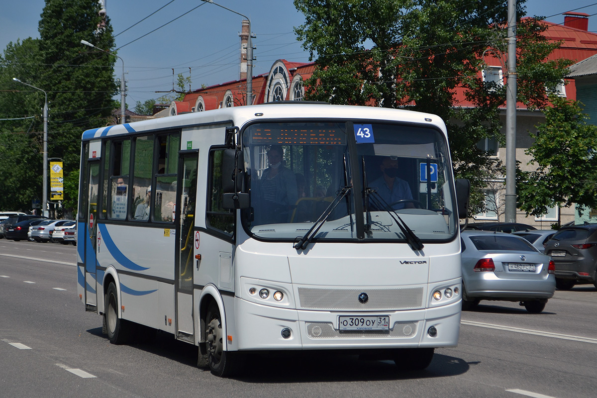 Белгородская область, ПАЗ-320412-04 "Вектор" № О 309 ОУ 31