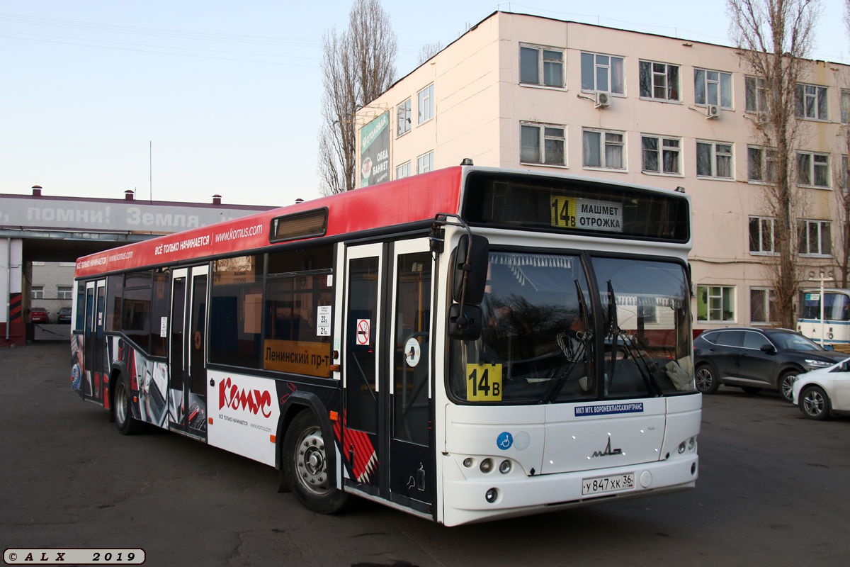 Воронежская область, МАЗ-103.469 № У 847 ХК 36