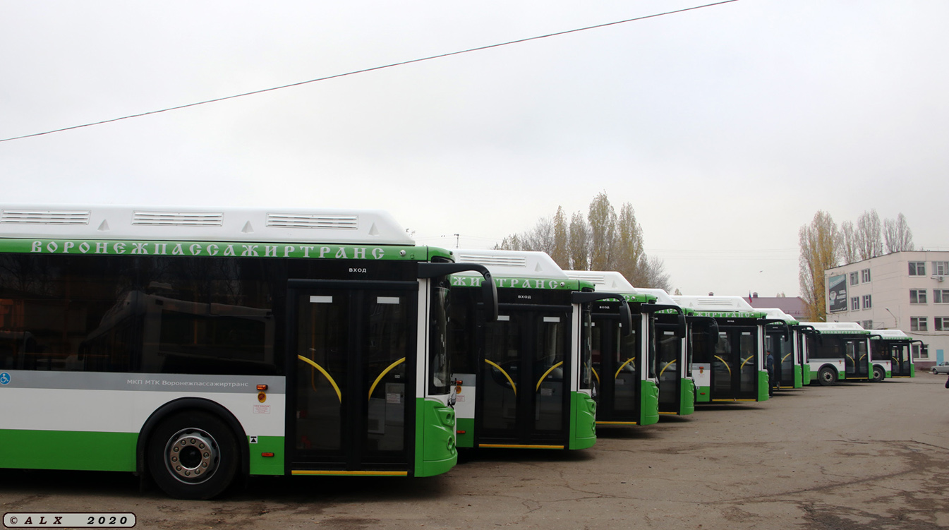 Воронежская область — Новые автобусы