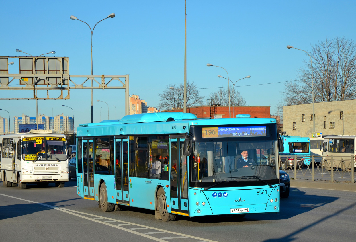 Санкт-Петербург, МАЗ-203.016 № 8568