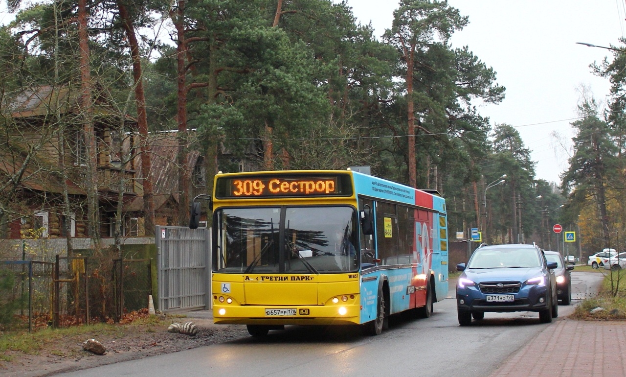 Санкт-Петербург, МАЗ-103.485 № В 657 РР 178