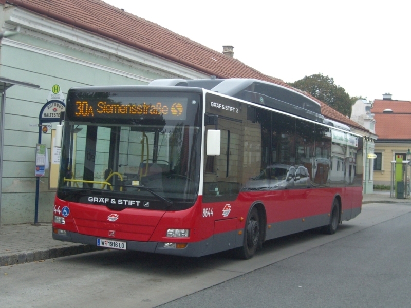 Austria, MAN A21 Lion's City NL273 LPG # 8644