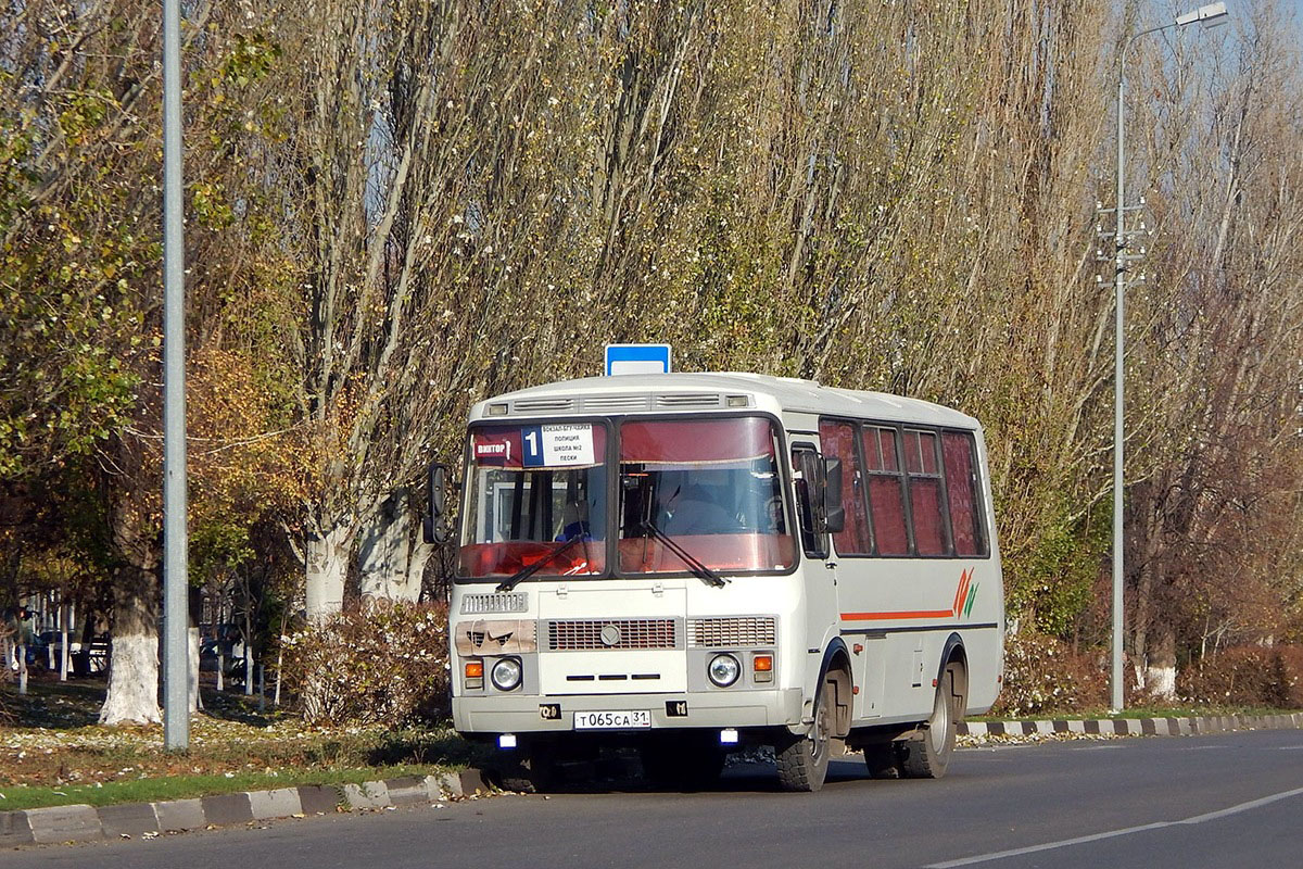 Belgorod region, PAZ-32054 Nr. Т 065 СА 31