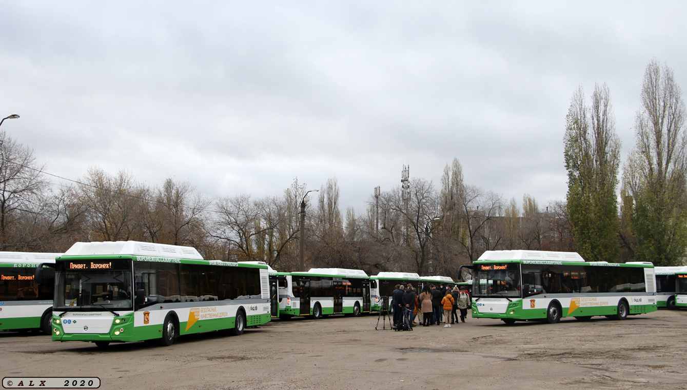 Воронежская область — Новые автобусы