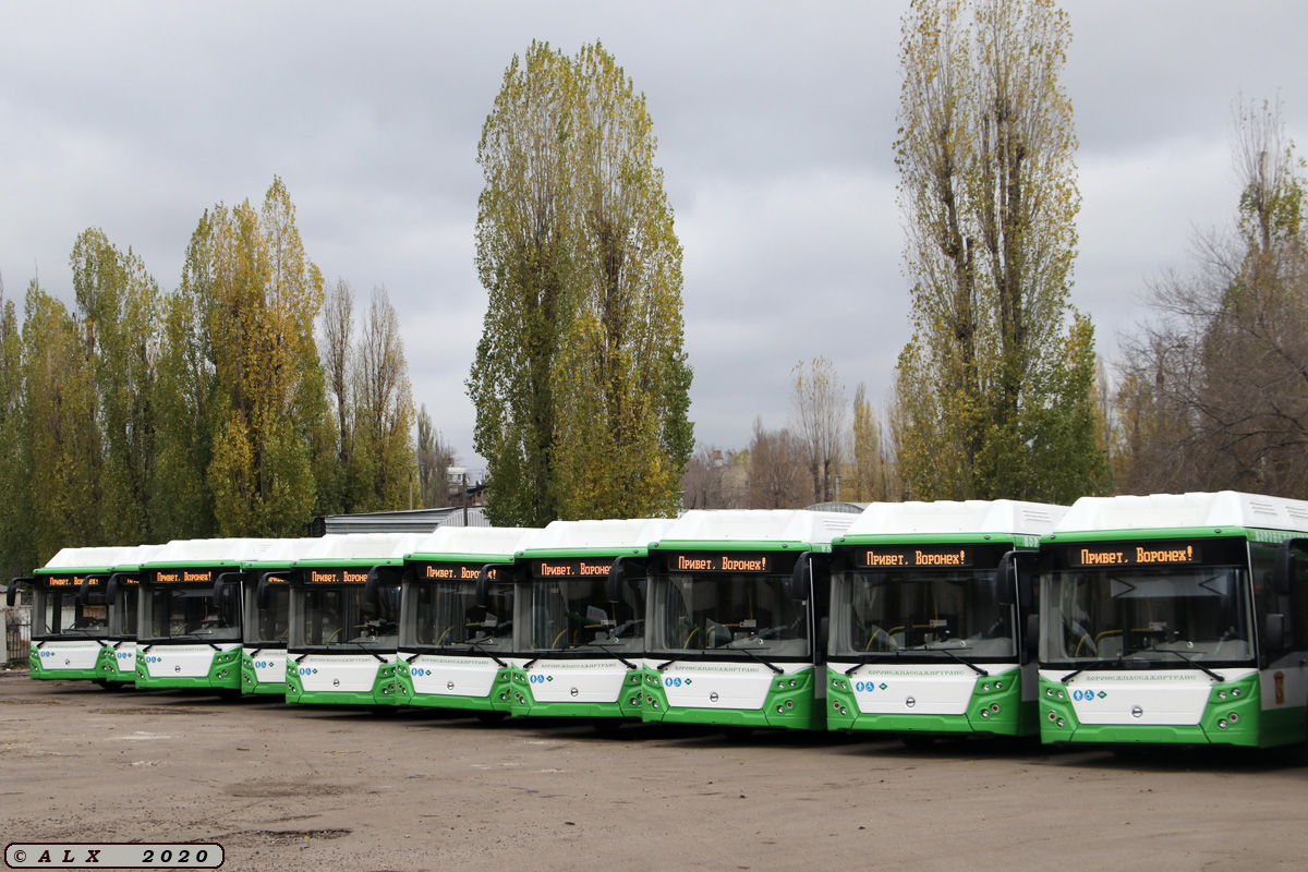 Воронежская область — Новые автобусы