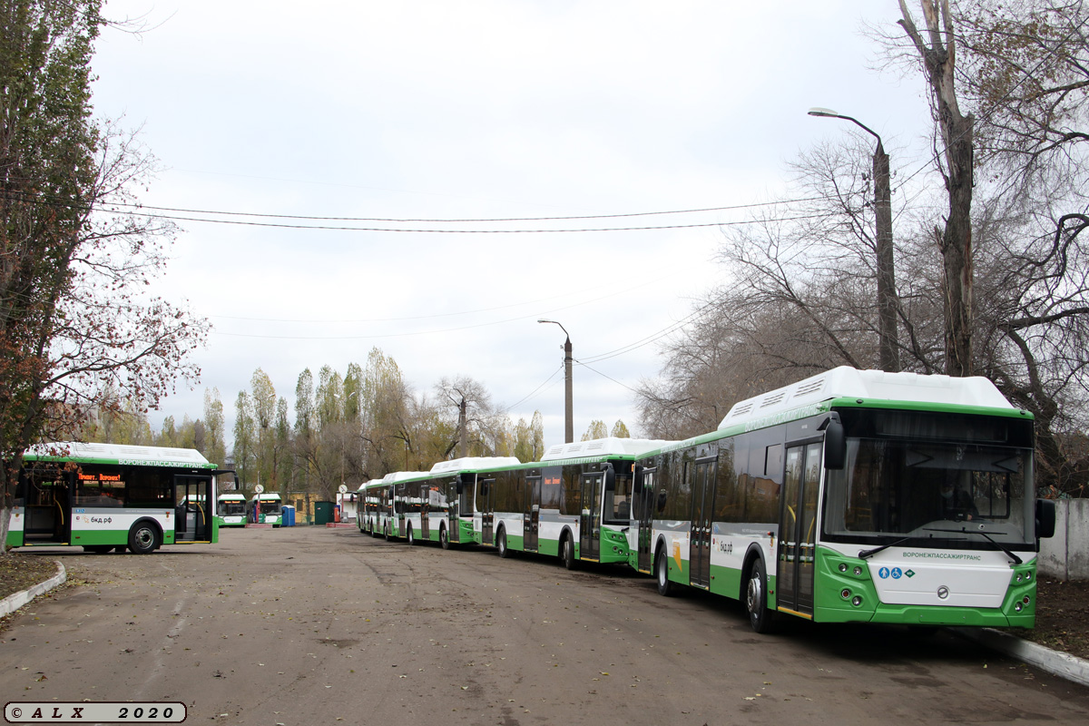 Воронежская область — Новые автобусы