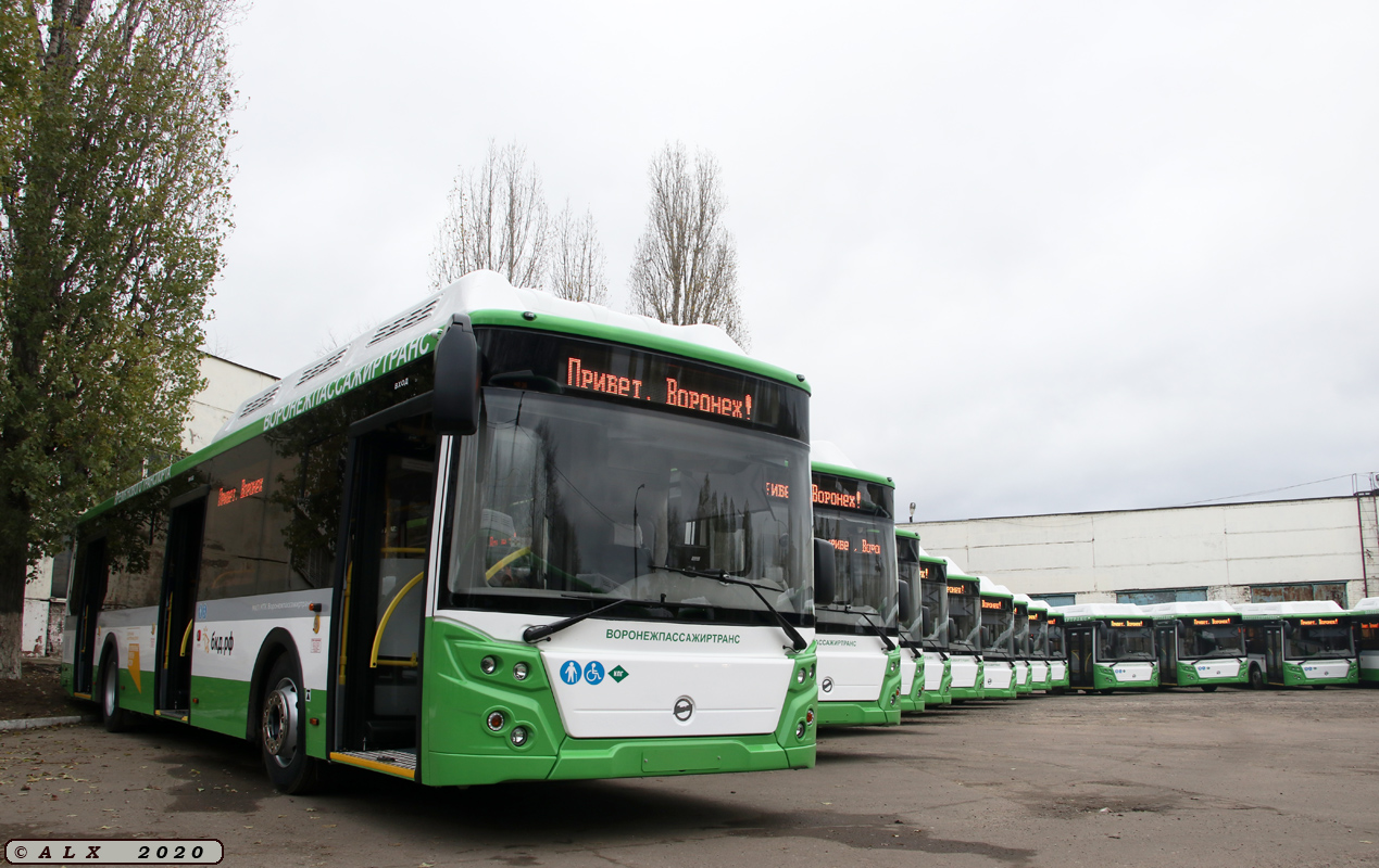 Воронежская область — Новые автобусы