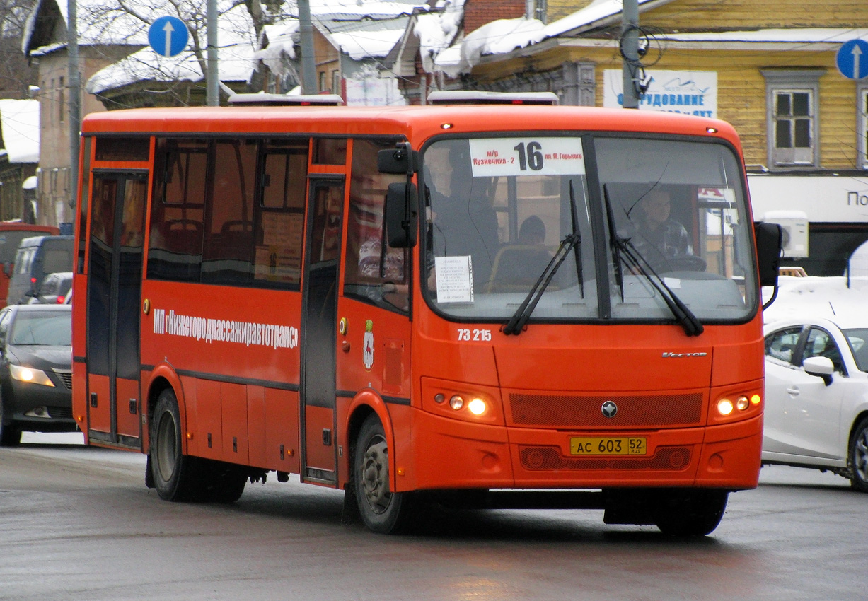 Нижегородская область, ПАЗ-320414-05 "Вектор" (1-2) № 73215