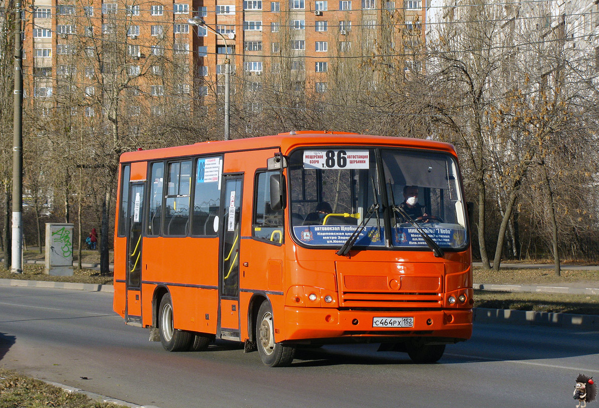 Нижегородская область, ПАЗ-320402-05 № С 464 РХ 152