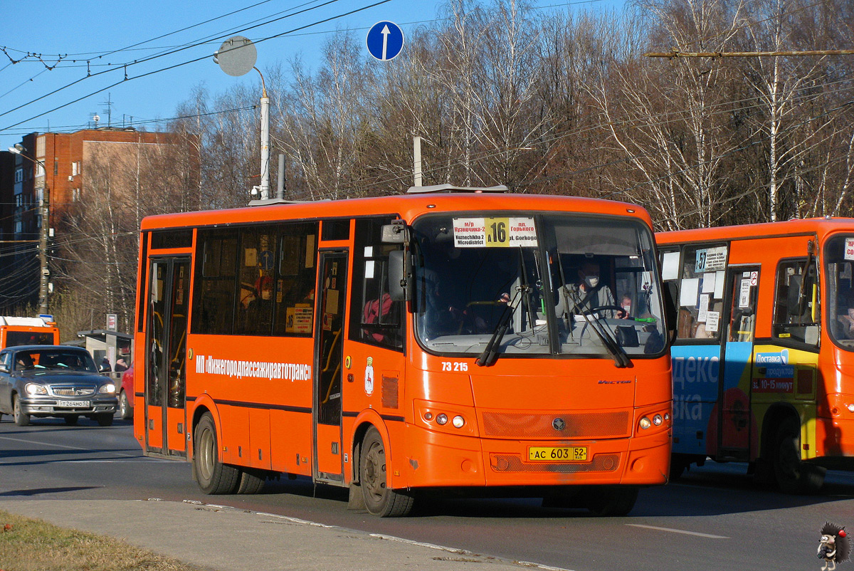 Нижегородская область, ПАЗ-320414-05 "Вектор" (1-2) № 73215