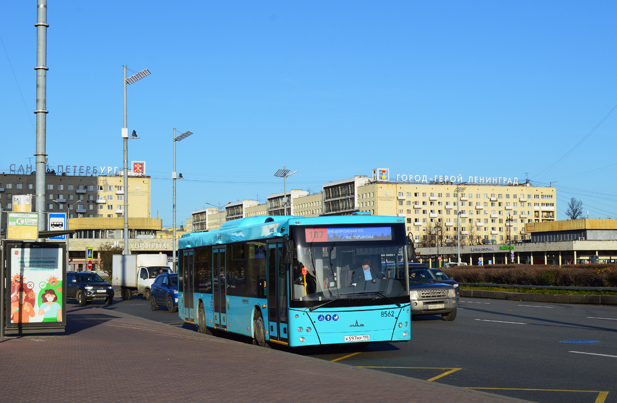 Санкт-Петербург, МАЗ-203.016 № 8562