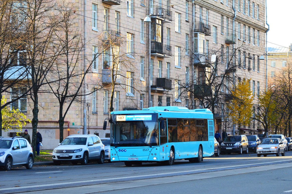 Санкт-Петербург, МАЗ-203.016 № 8567