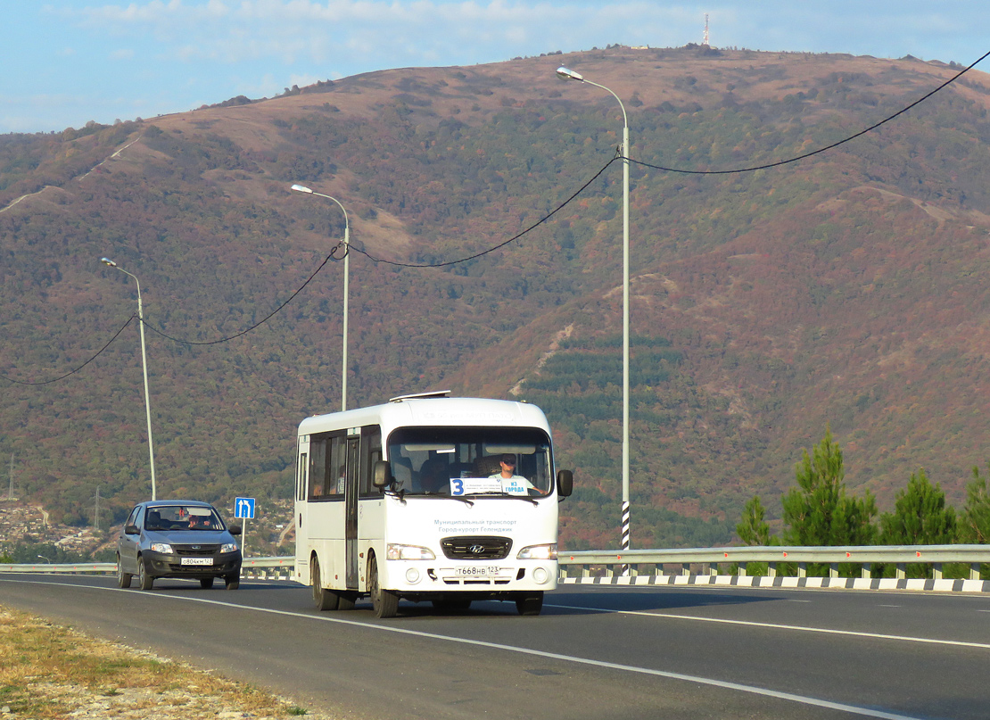 Краснодарский край, Hyundai County LWB C11 (ТагАЗ) № Т 668 НВ 123